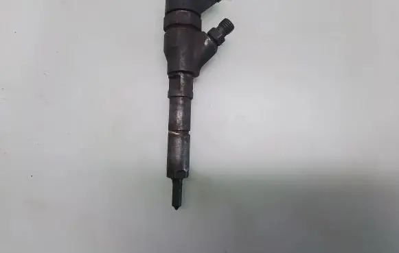 Peugeot 406 Fuel injector 0445110008