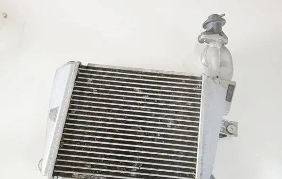 Mazda 3 II Intercooler radiator 1271002992