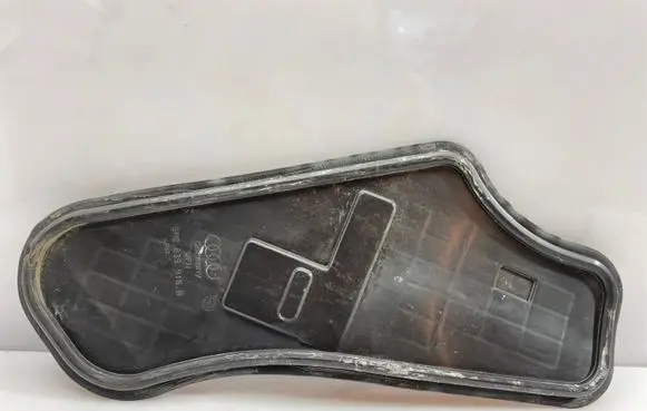 Audi Q5 SQ5 Other rear door trim element 8R0839916B