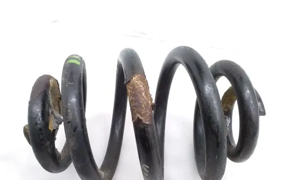 Rear coil spring