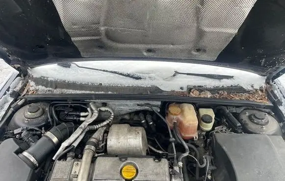 Opel Signum Wiper trim 