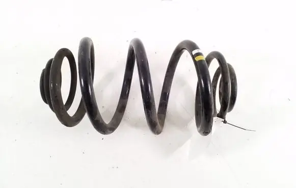Renault Trafic III (X82) Rear coil spring 550202870R