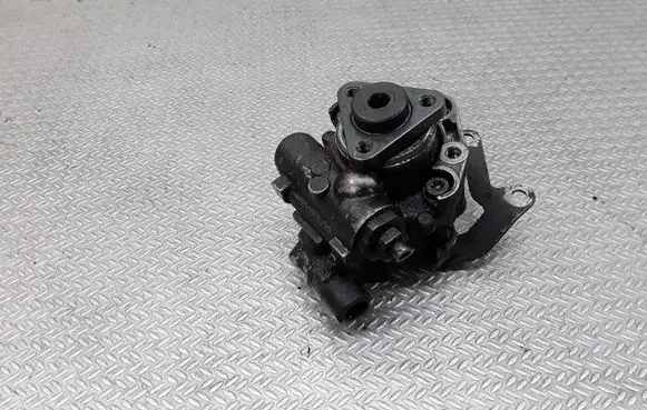 BMW 5 E39 Power steering pump 7691974507