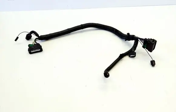 Other wiring loom