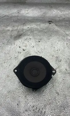 Panel speaker