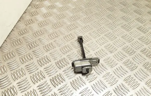Rear door check strap stopper
