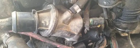 Engine coolant pipe/hose