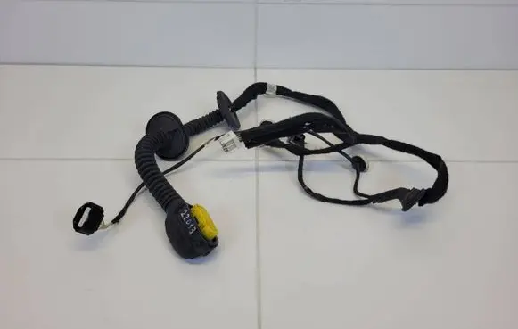 Renault Captur Rear door wiring loom 289820002R