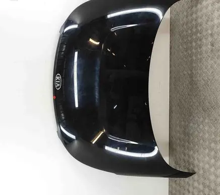 Engine bonnet/hood