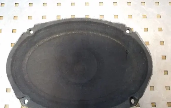 Chrysler 300 - 300C Rear door speaker