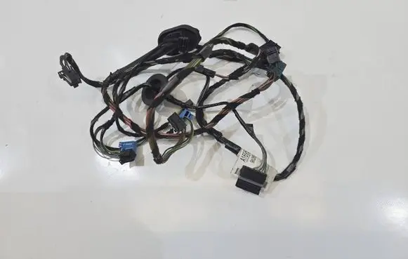 Mercedes-Benz B W245 Front door wiring loom A1695407705