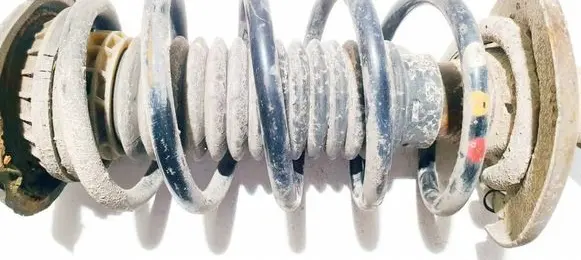 Front coil spring