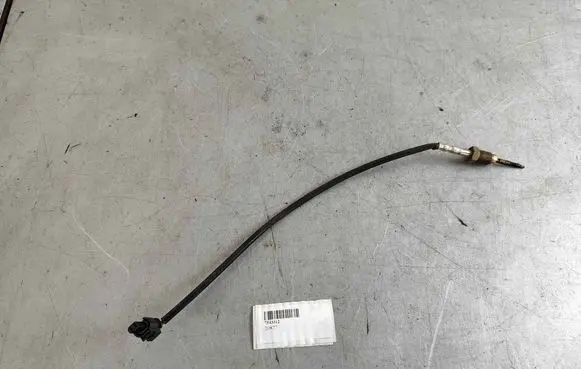 Exhaust gas temperature sensor
