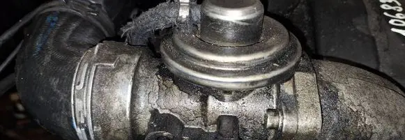 EGR valve