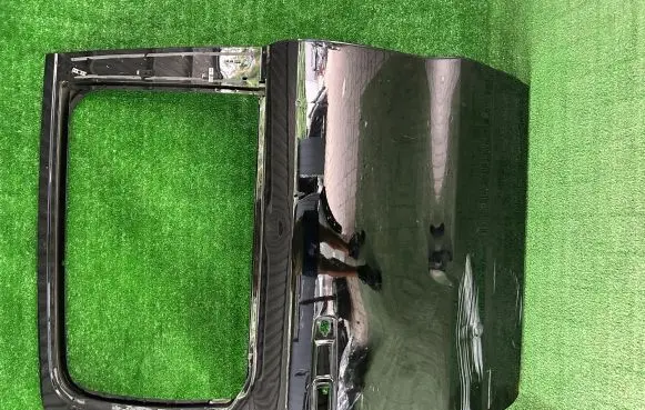 Dodge RAM 1500 DS Rear door