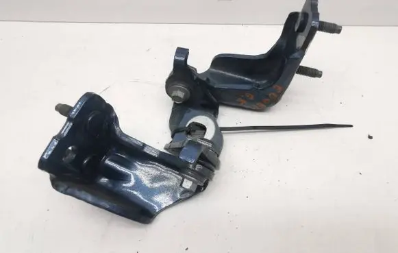 Ford Edge II Rear door hinge set