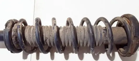 Honda Accord Rear coil spring