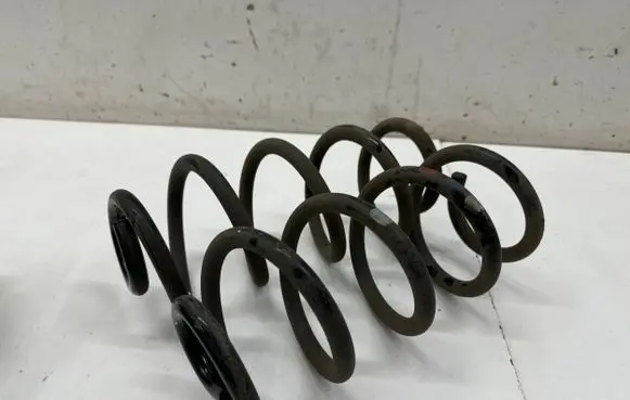 Renault Arkana Rear coil spring