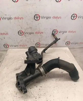 Thermostat/thermostat housing