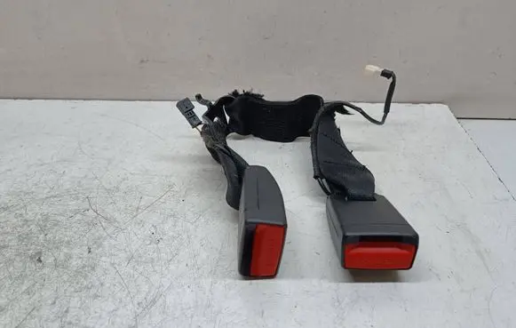 BMW 1 F20 F21 Middle seatbelt buckle (rear) 7355471