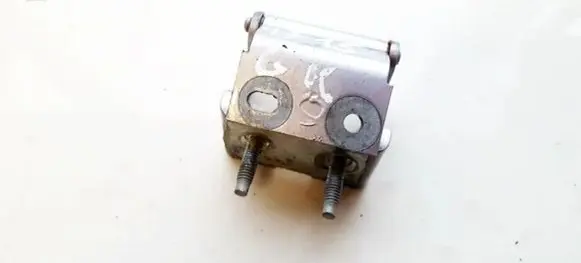 Peugeot 406 Rear door lower hinge