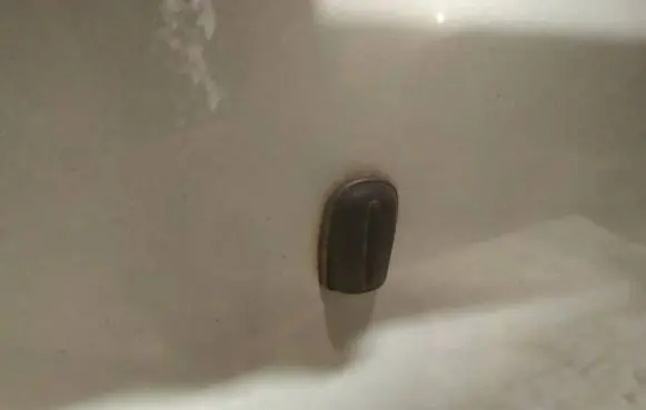 Ford Focus Windshield washer spray nozzle 