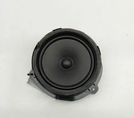 Rear door speaker