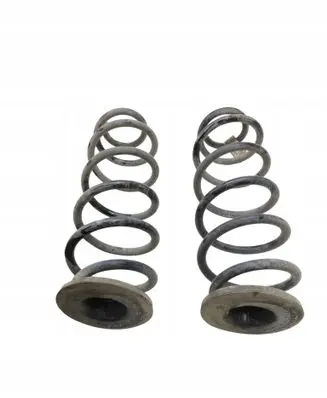 Skoda Scala Rear coil spring 2Q0511121DM