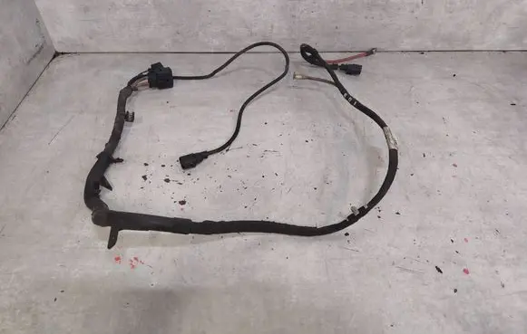 Volkswagen PASSAT B6 Other wiring loom 3C1971111AD