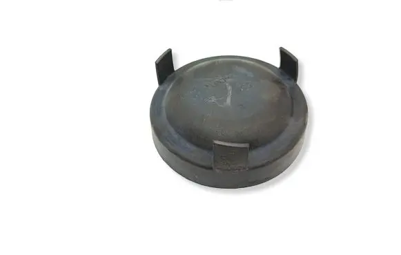 Opel Combo E Headlight/headlamp dust cover 20A317P2