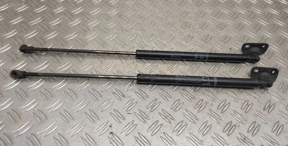 Toyota Prius (NHW20) Tailgate/trunk strut/damper 689600W430