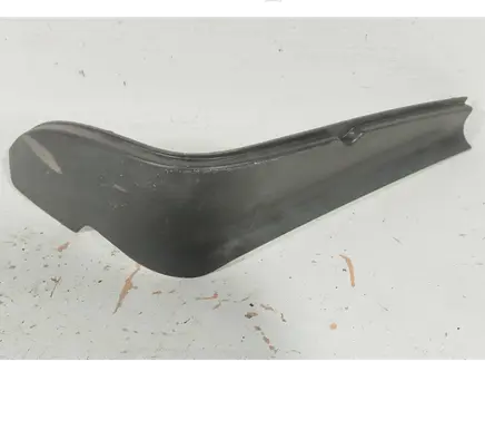 Rear/tail light trim molding