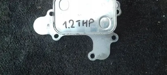 Peugeot 2008 II Oil filter mounting bracket 9839253380