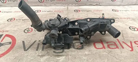 Nissan Qashqai Thermostat 110601073R