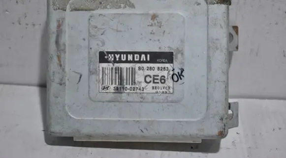 Hyundai Atos Classic Engine control unit/module ECU 3911002743