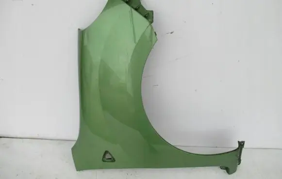 Renault Kangoo II Fender
