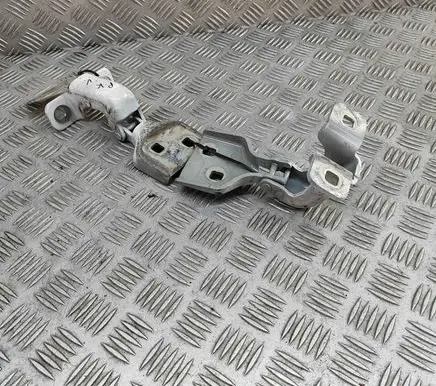 Opel Movano B Front door hinges set 804000006R