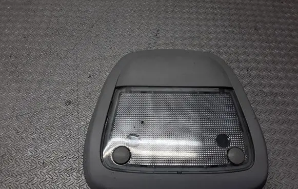 Opel Meriva A Front seat light 13169298