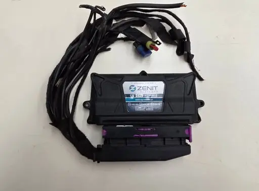 Dacia Dokker Other control units/modules 110R010053