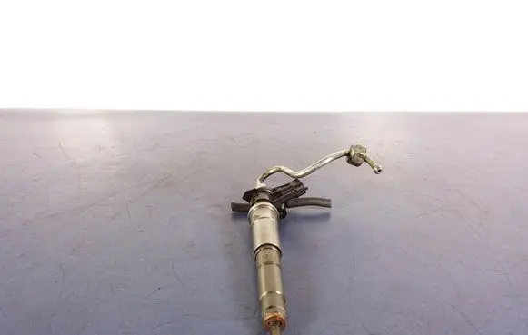 Renault Espace - Grand espace IV Fuel injector 804554BH82409395