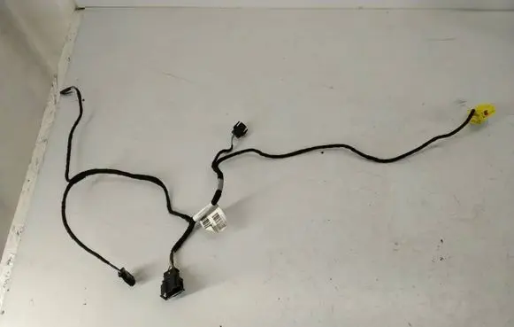 Audi A8 S8 D3 4E Other wiring loom 4E0971679E DELPH1DZ2SK 26092003
