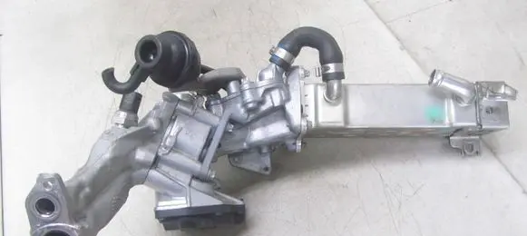 EGR valve