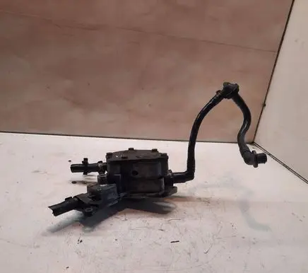 Skoda Roomster (5J) Vacuum pump 038145209N