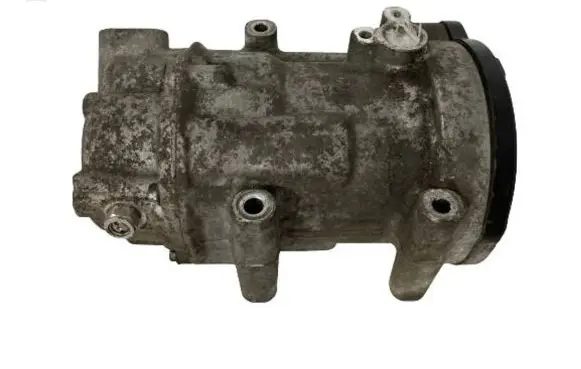Toyota RAV 4 (XA50) Air conditioning (A/C) compressor (pump) 0424000171