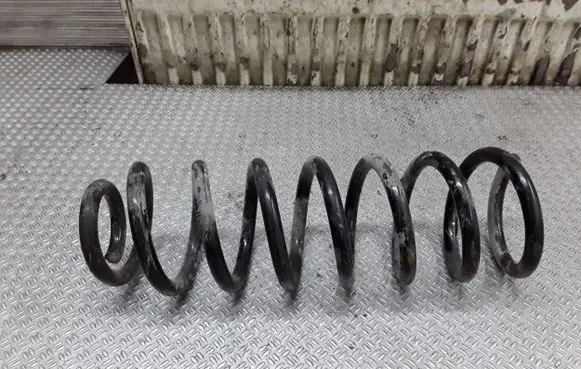 Renault Megane II Rear coil spring