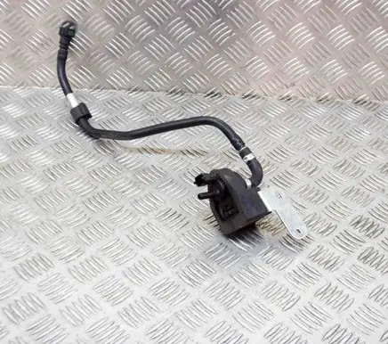 Maserati Quattroporte Vacuum line/pipe/hose 670007319