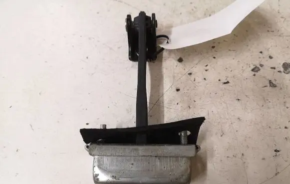 Ford Focus C-MAX Front door check strap stopper