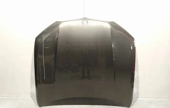 BMW X5 G05 Engine bonnet/hood 41007492375