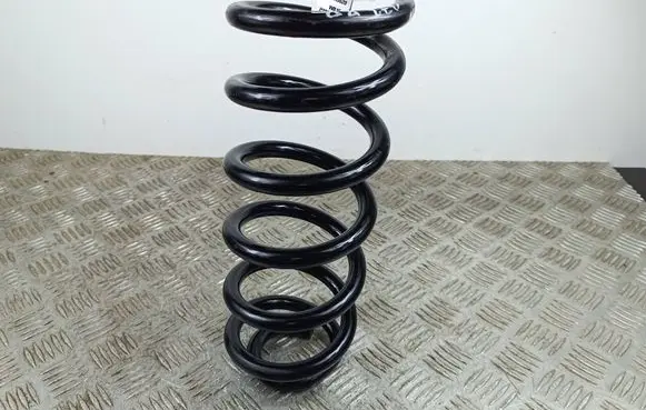Rear coil spring