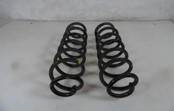 Rear coil spring
